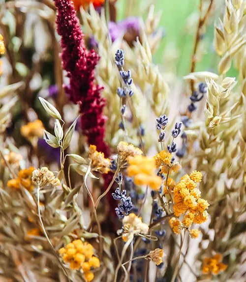 Dried flower bouquets